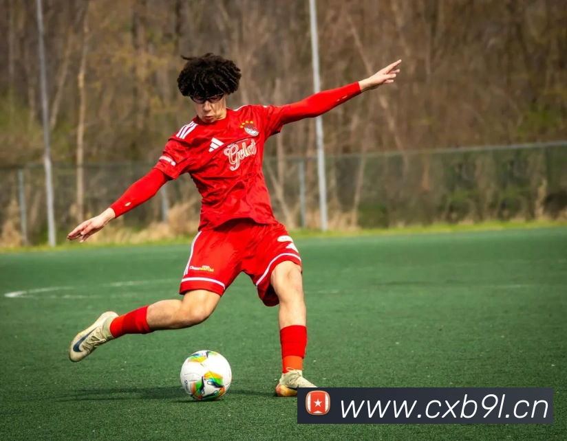 乐竞官网入口平台生态图