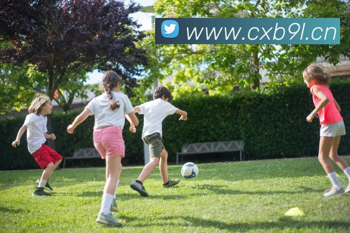 乐竞官网入口APP 封面图